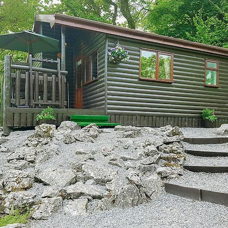 Garnffrwd Park Ξενοδοχείο Llanddarog Εξωτερικό φωτογραφία