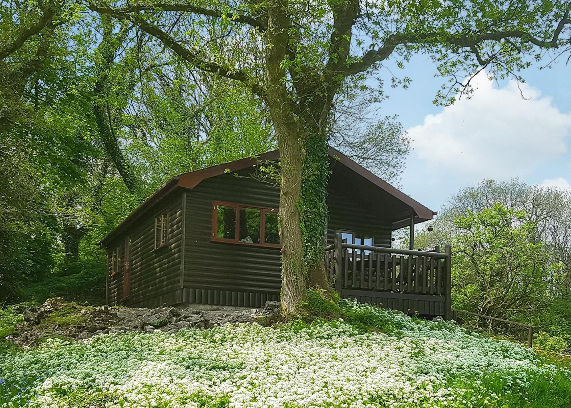 Garnffrwd Park Ξενοδοχείο Llanddarog Δωμάτιο φωτογραφία
