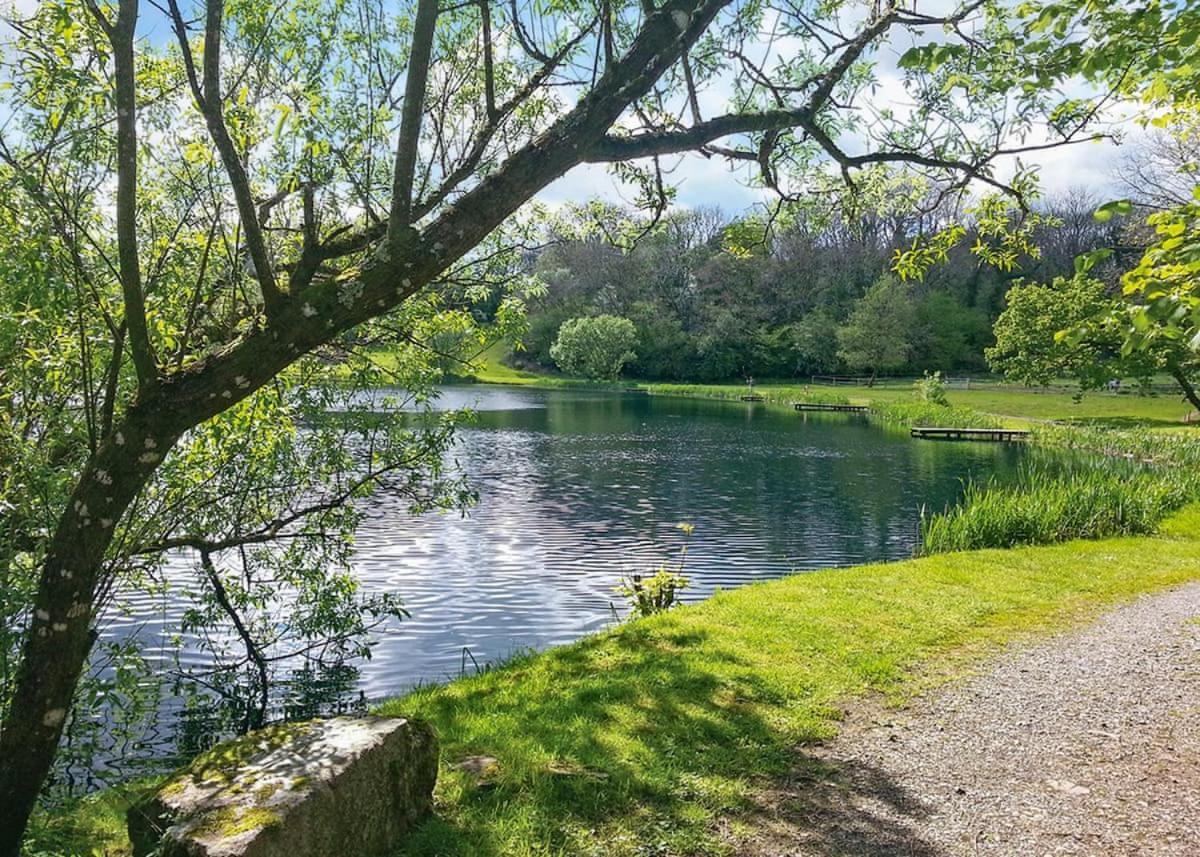 Garnffrwd Park Ξενοδοχείο Llanddarog Εξωτερικό φωτογραφία